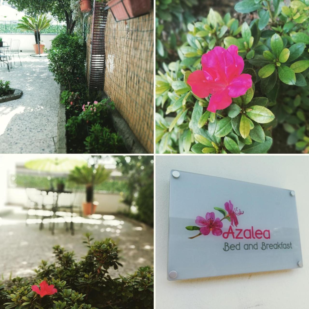 Azalea B&B Naples Exterior photo